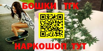СК Мирный